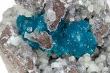 Vibrant Blue Cavansite Crystals on Sparkling Stilbite - India #340999-1